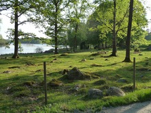 Slumpat foto Slumpat foto.